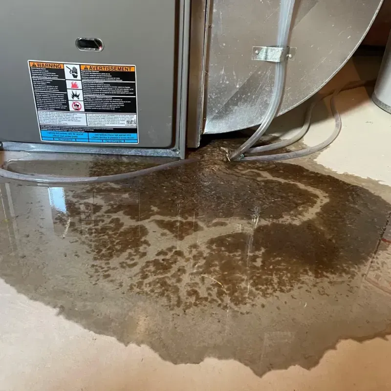 Appliance Leak Cleanup in Davie County, NC